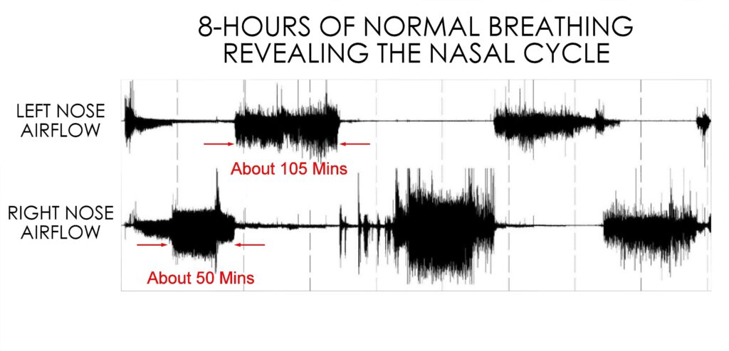 Nasal Cycle Graph